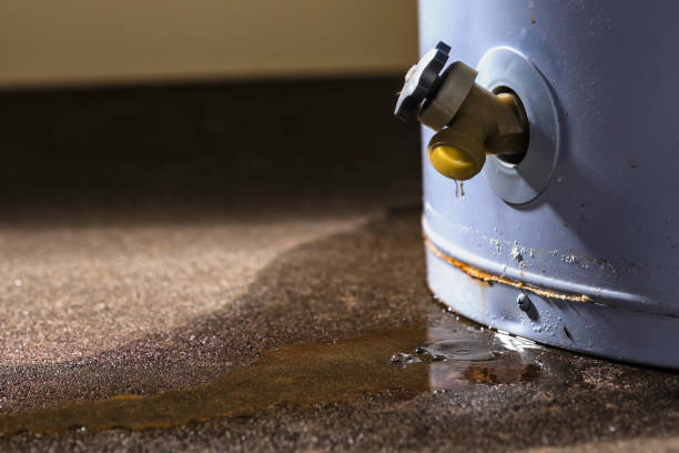 Best Mold removal after water damage  in Rossville, MD