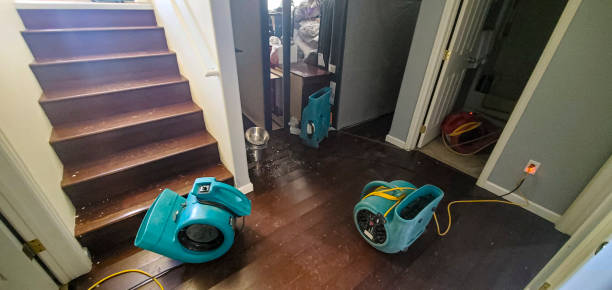 Best Water damage restoration mold remediation  in Rossville, MD