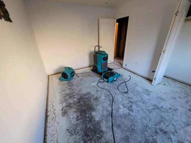 Best Basement water damage restoration  in Rossville, MD