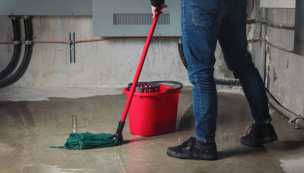 Best Carpet water damage restoration  in Rossville, MD