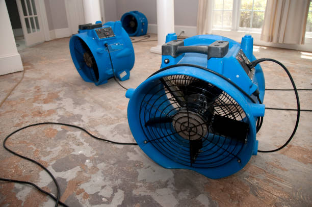 Best Professional water damage repair  in Rossville, MD
