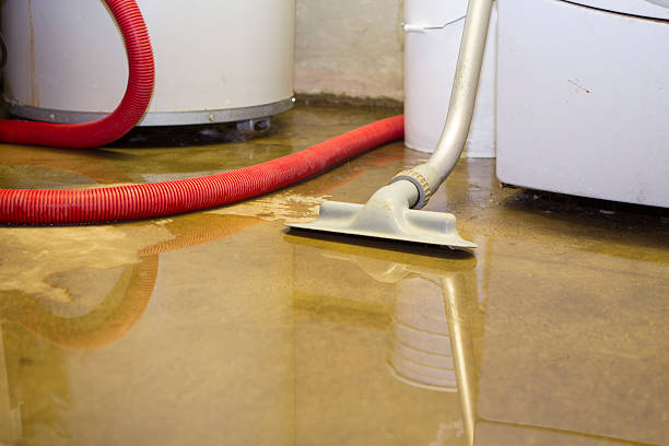 Best Residential water damage restoration  in Rossville, MD