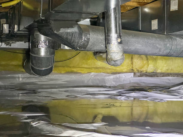 Best Water damage contractors near me  in Rossville, MD