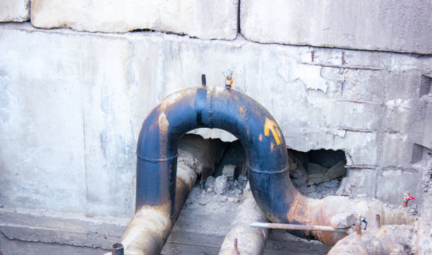 Best Local water damage restoration  in Rossville, MD